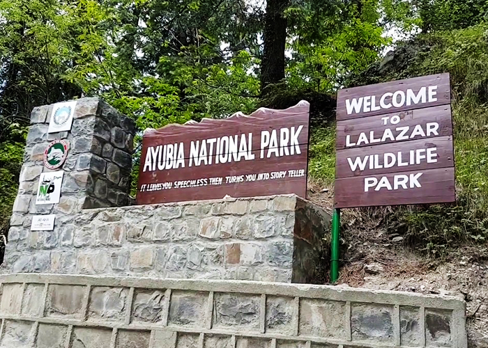 Ayubia National Park